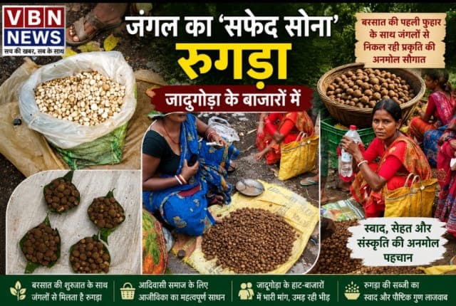 बरसात के साथ बाजारों में लौटा जंगल का सफेद सोना, रुगड़ा खरीदने उमड़ रही लोगों की भीड़
